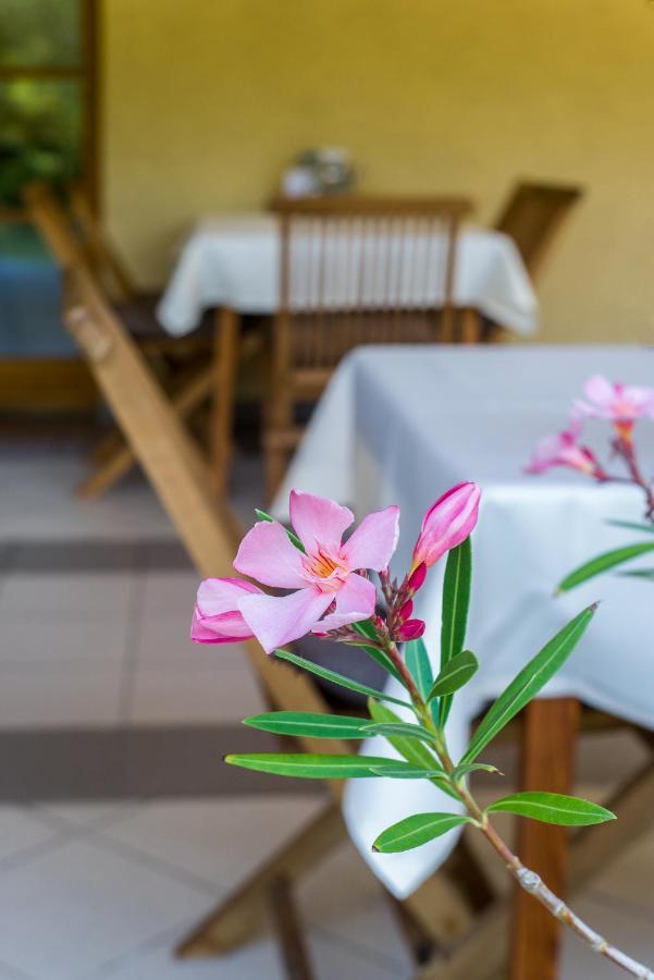 Bed and Breakfast Regia Panzió Halászi Exterior foto
